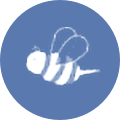 Honey Digital Social Media and Digital Agency Surrey, Devon, Cornwall
